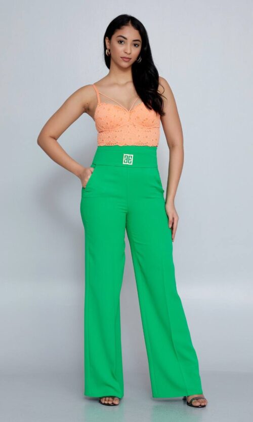 Regular Fit Pants (Dual E)