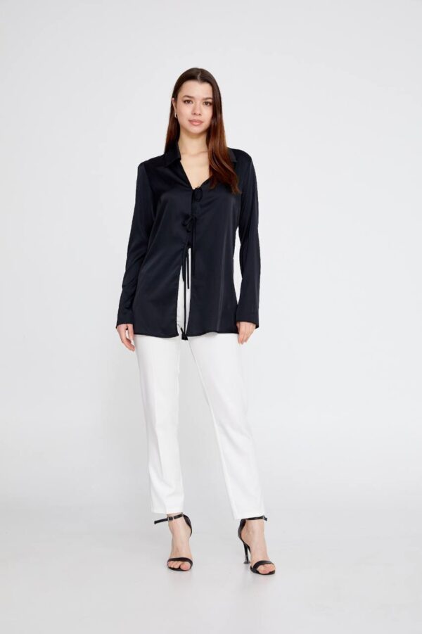 Long Sleeve Solid Color Regular Black Blouse