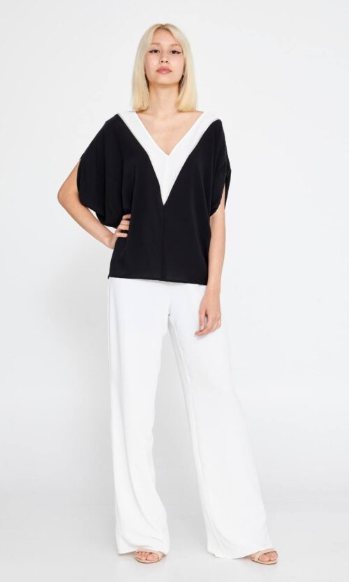 Short Sleeve V-neck Blouse